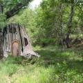 Gîte Tronc d'arbre